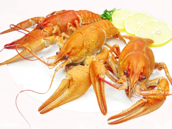 Red boiled river lobsters — Stock Photo, Image