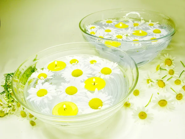 Spa candles daisy flowers petals — Stock Photo, Image