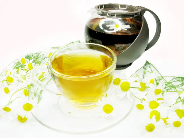 Floral kruiden thee met madeliefjebloemen — Stockfoto