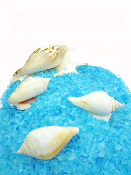 Spa mořské mušle a sůl — Stock fotografie