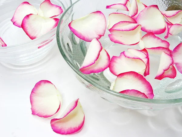 Spa bowls with rose petals — Stock Photo, Image