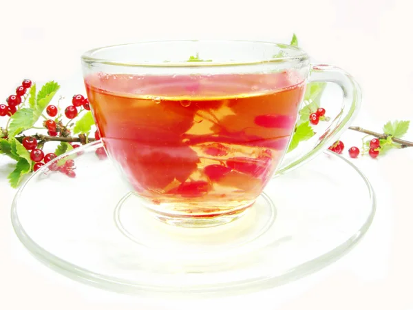 Röd frukt te med vinbär — Stockfoto