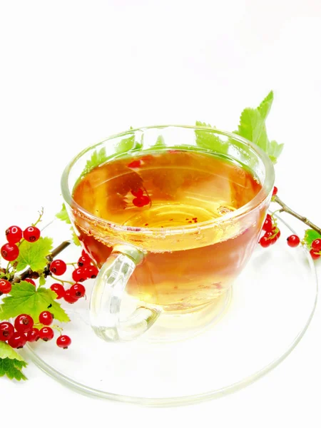 Chá vermelho de fruta com extrato de groselha — Fotografia de Stock