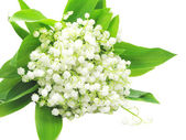Bouquet of white lily of the valley