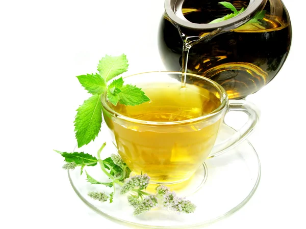 Herbal tea with mint herb extract — Stock Photo, Image