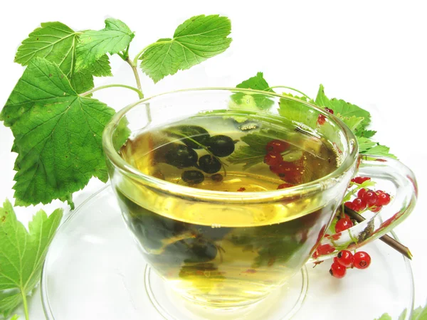 Herbata owocowa z porzeczki ekstrakt — Zdjęcie stockowe