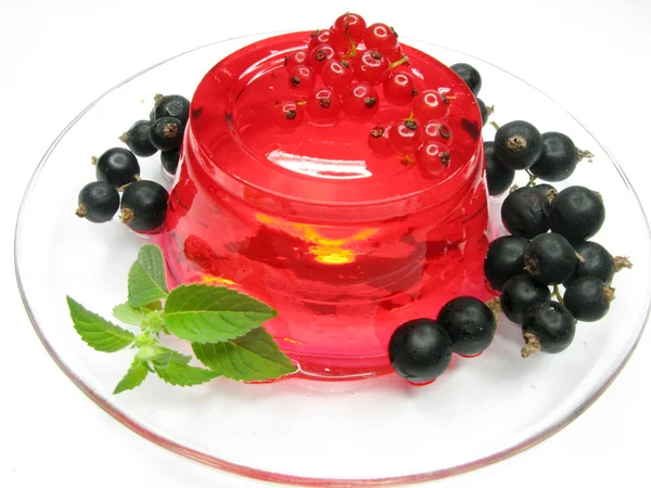 Fruit dessert met rode bes gelei — Stockfoto