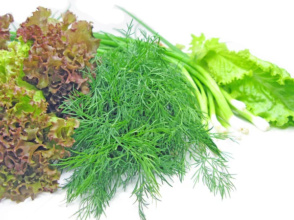 Cibule fenyklu salát zeleninový salát — Stock fotografie