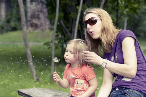 stock image Blowing dandelion