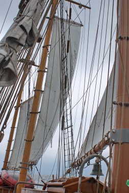 Half wind sailing clipart
