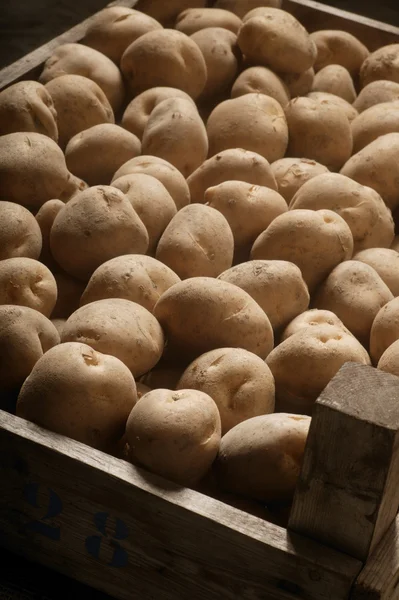 Patato i behållaren — Stockfoto