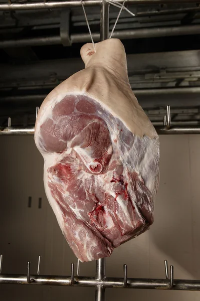 Gelen bir domuz jambon — Stok fotoğraf