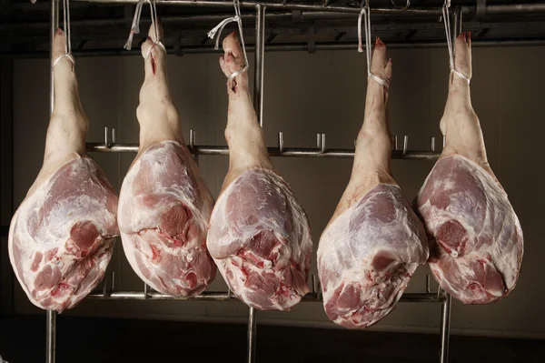 Carne de cerdo —  Fotos de Stock