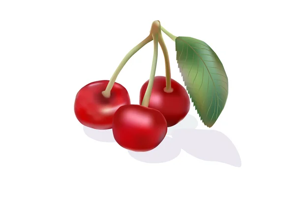 Cherries.icons . — 图库矢量图片
