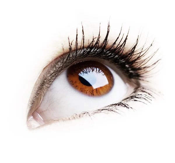 Hermoso ojo de mujer sobre fondo blanco —  Fotos de Stock