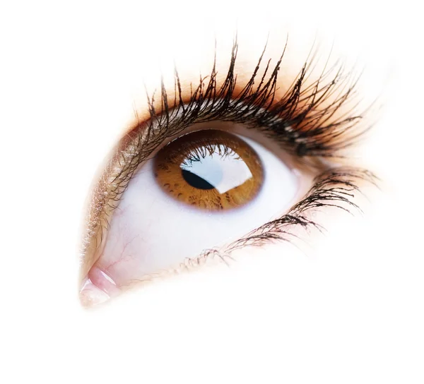Belo olho de mulher sobre fundo branco — Fotografia de Stock