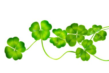 St.Patric's Day Border clipart