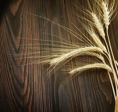 Wheat Border Over Wooden Background clipart