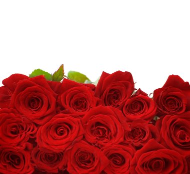 Red Roses clipart