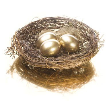 Altın nest yumurta