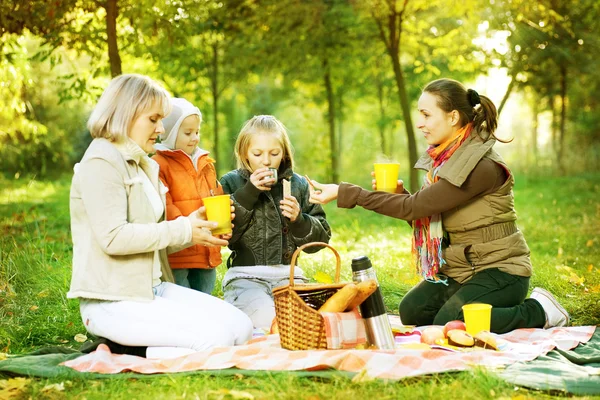 Šťastná rodina v parku. piknik — Stock fotografie