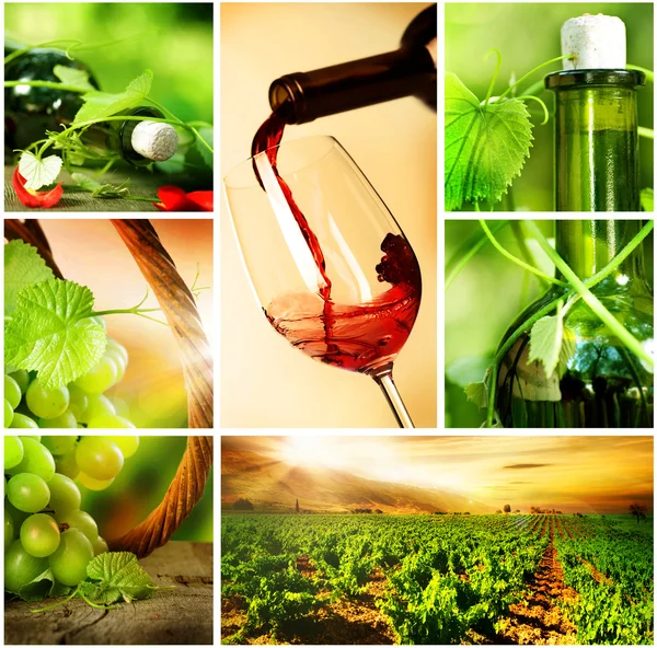 Vinho. Colagem de uvas bonitas — Fotografia de Stock