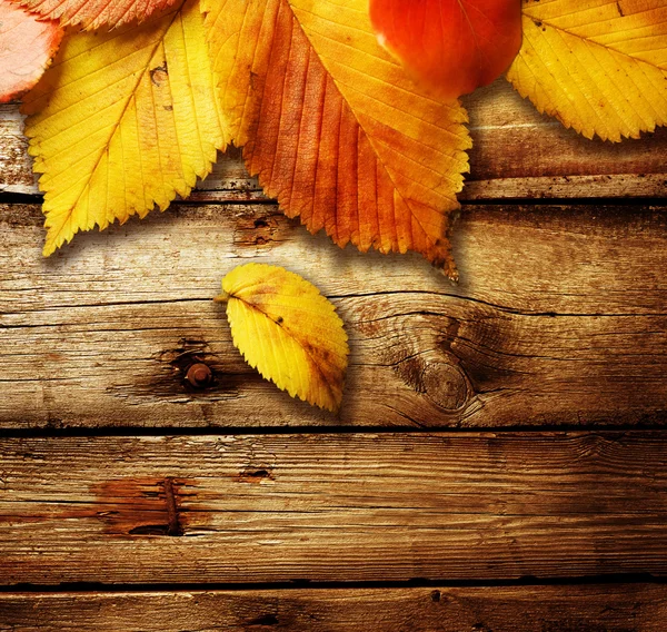 Herfst bladeren over houten achtergrond — Stockfoto