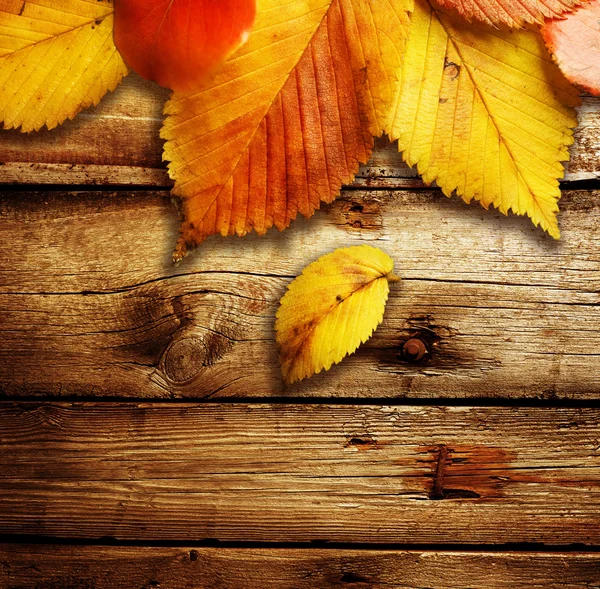 Foglie d'autunno su sfondo di legno — Foto Stock