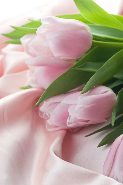 Hermosos tulipanes y seda —  Fotos de Stock