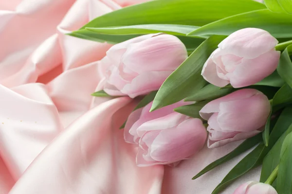Hermosos tulipanes y seda — Foto de Stock