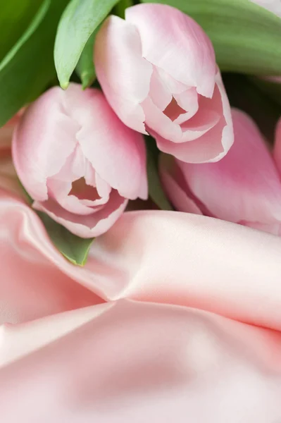 Hermosos tulipanes y seda — Foto de Stock