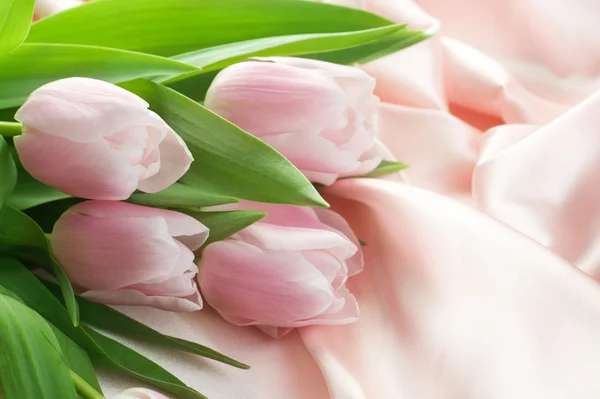 Красивые тюльпаны и шелк — стоковое фото