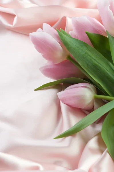 Linda tulipa e seda. Com espaço de cópia — Fotografia de Stock