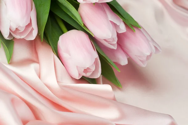 Tulipány na hedvábí — Stock fotografie