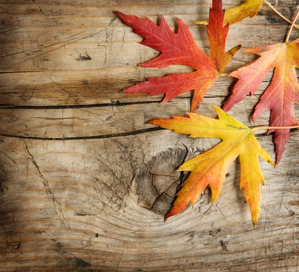 Autumn listowie na drewniane tła. z miejsca kopiowania — Zdjęcie stockowe