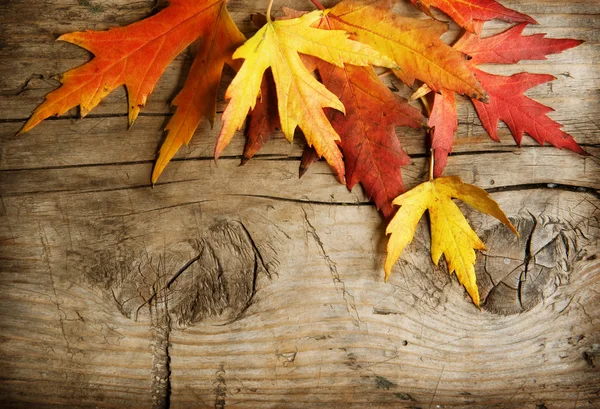 Outono Folhas sobre fundo de madeira. Com espaço de cópia — Fotografia de Stock