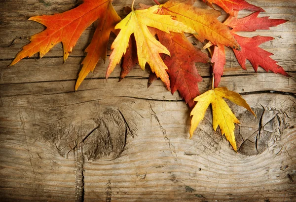 Foglie d'autunno su sfondo di legno. Con spazio di copia — Foto Stock