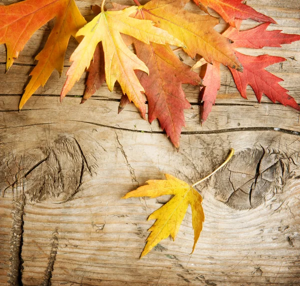 Autumn listowie na tle drewna — Zdjęcie stockowe