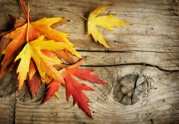 秋天的叶子在木制的背景。与副本空间 — 图库照片