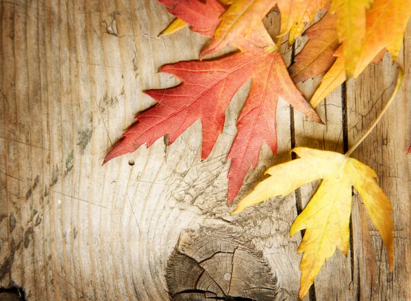 Autumn Leaves over wood background. With copy space — Stock Photo, Image
