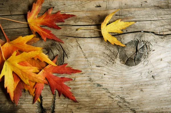 Herbstlaub über hölzernem Hintergrund. mit Kopierraum — Stockfoto