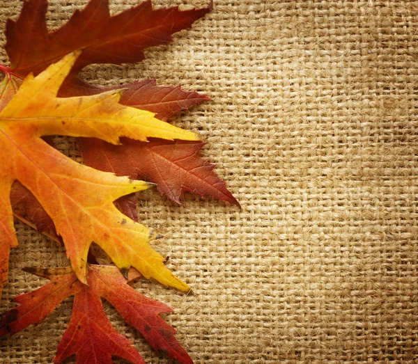 Φθινοπωρινά φύλλα στα σύνορα, πέρα από το υπόβαθρο λινάτσα — Φωτογραφία Αρχείου