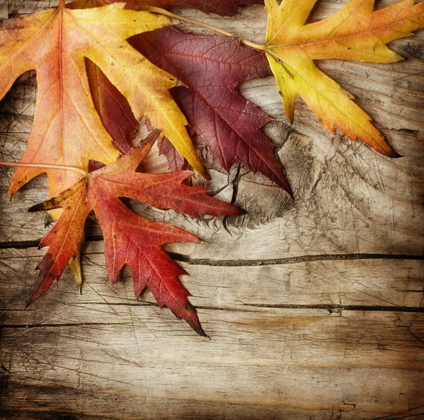 Feuilles d'automne sur fond en bois. Avec espace de copie — Photo