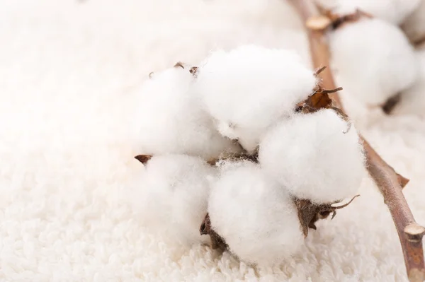 ふわふわしたタオルの綿工場 — ストック写真