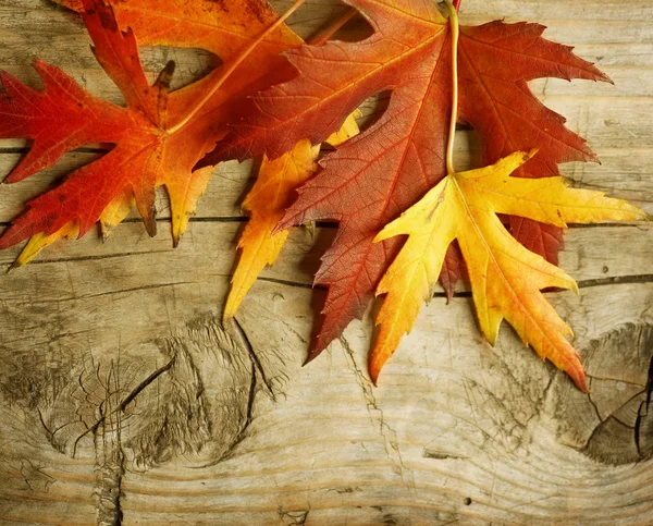 在木背景的秋叶。与副本空间 — 图库照片