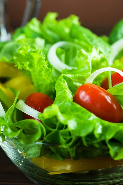 Ensalada de verduras frescas saludables Primer plano —  Fotos de Stock