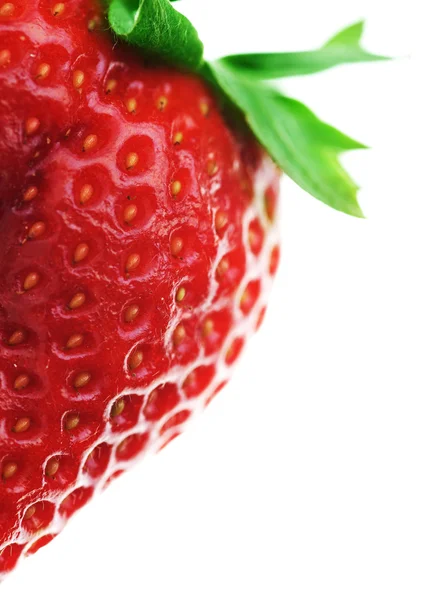 Φράουλα closeup — Φωτογραφία Αρχείου