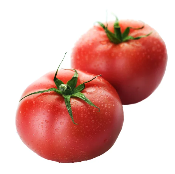 흰색 위에 토마토 — 스톡 사진