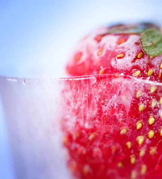 아이스 딸기 근접 촬영 — 스톡 사진