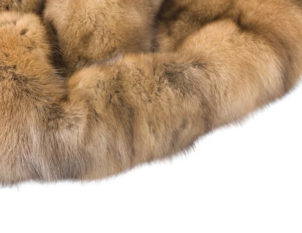 Luxury Fur. Russian Sable Isolated On White — Stock Photo, Image